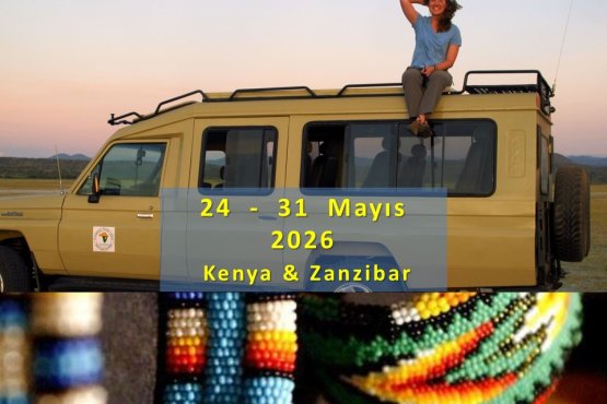 Tur Kenya Safari ve Zanzibar I
