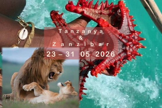 Tur Tanzania Safari ve Zanzibar I DAR  Kurban Bayramı