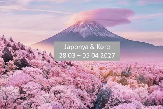 Tur Japonya ve Kore  II  Sakura