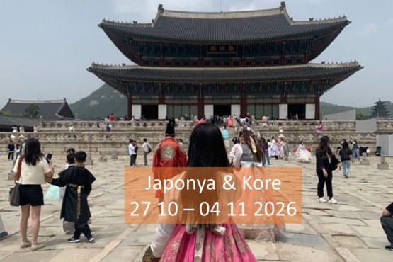Tur Japonya ve Kore  Sonbahar
