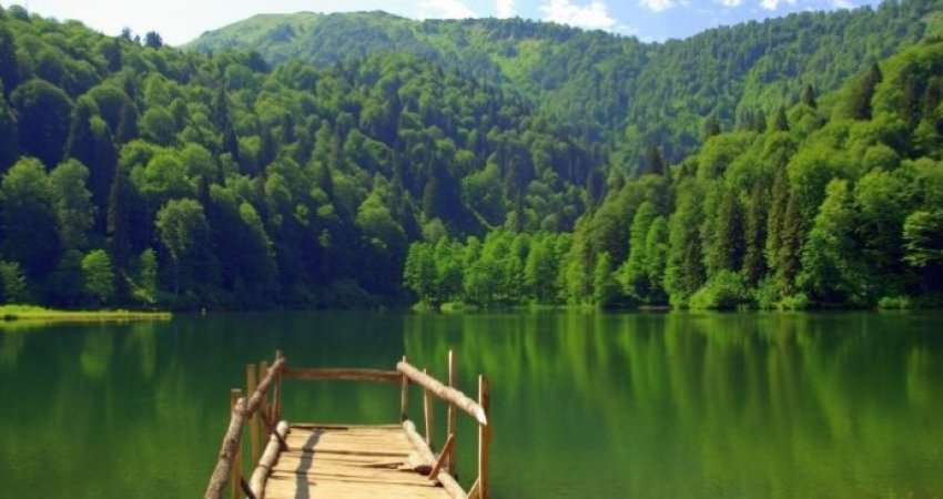 Tour to Black Sea Region And Batumi