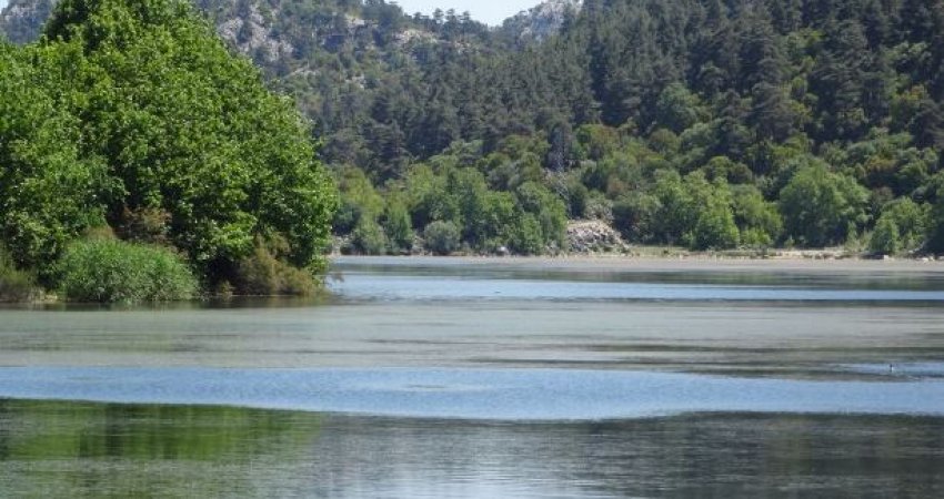 Tour Rose Harvest Festival , Isparta