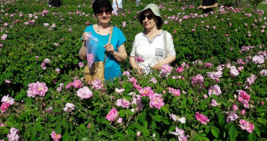 Tour Rose Harvest Festival , Isparta