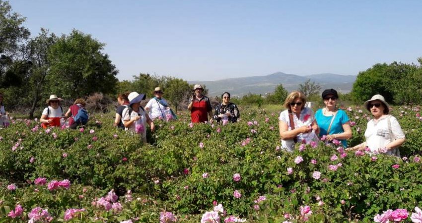 Tour Rose Harvest Festival , Isparta
