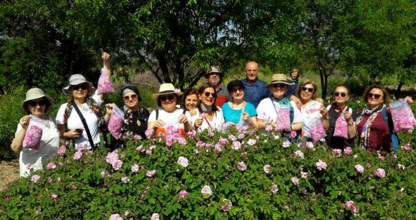 Tour Rose Harvest Festival , Isparta