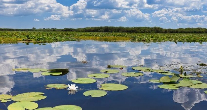Tour Danube Delta and Varna