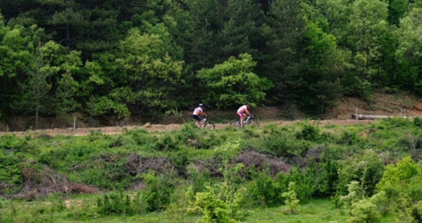 Tour Mushroom Festive , Kastamonu