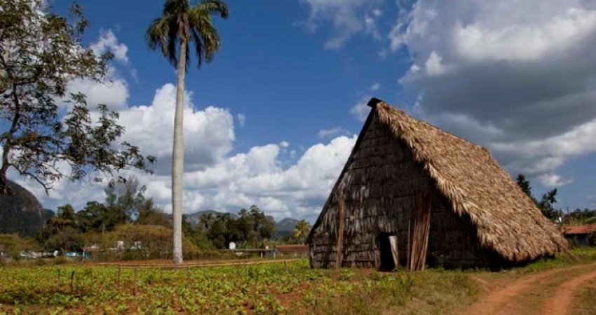 Tour Cuba, Salsa Rhytms