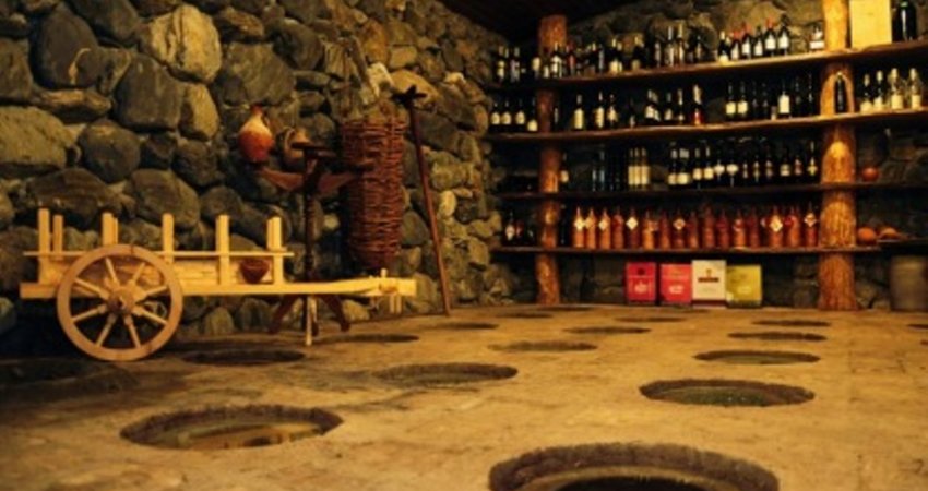 Tour Georgia vineyards