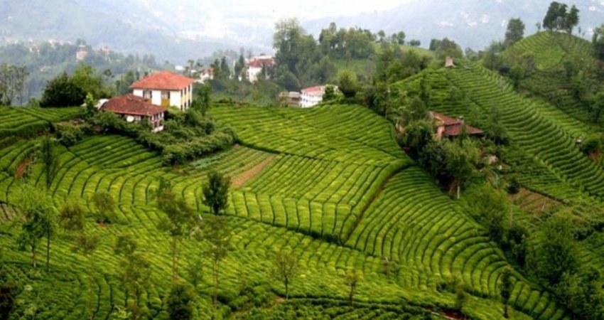 Tur Karadeniz-dogu- ve Yaylalar  II