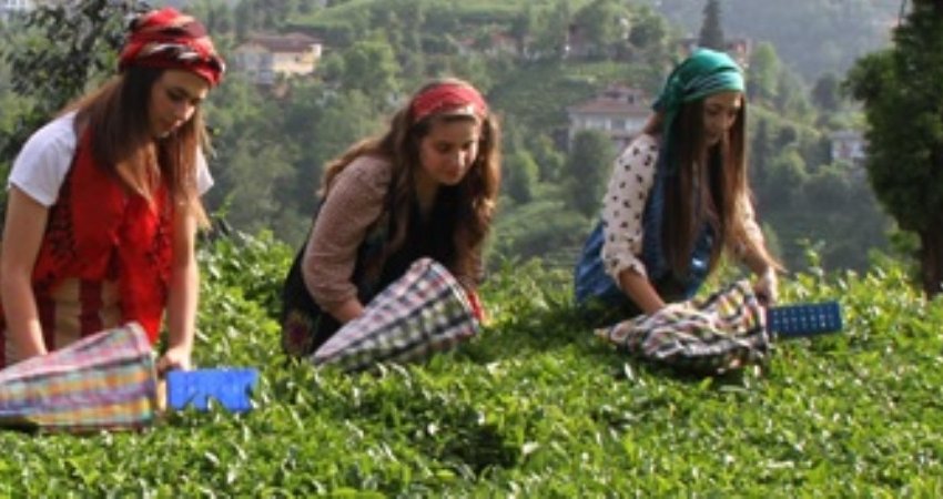 Tur Karadeniz-dogu- ve Yaylalar  II