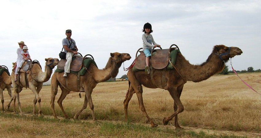 Tur Özbekistan ipekyolu