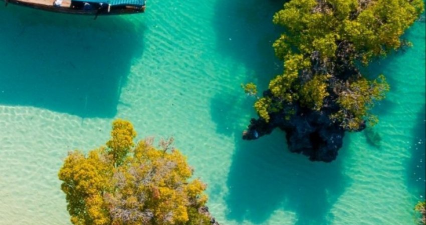 Tur Tanzanya Safari + Zanzibarda Full Moon Party
