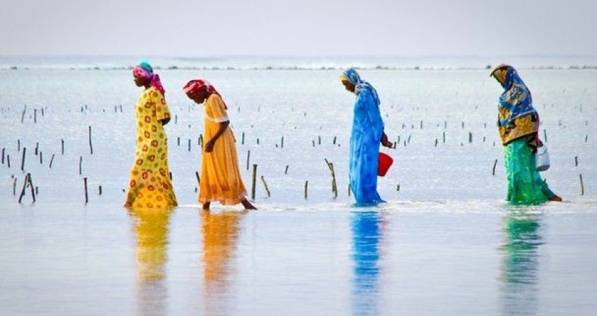 Tur Tanzanya Safari + Zanzibarda Full Moon Party