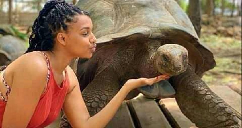 Tur Tanzanya Safari + Zanzibarda Full Moon Party