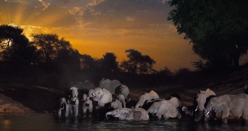 Tur Güney Afrika, Afrikayı Yasamak-1