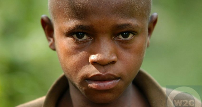 Tur Safari Ruanda & Uganda Gorillas II & Nile