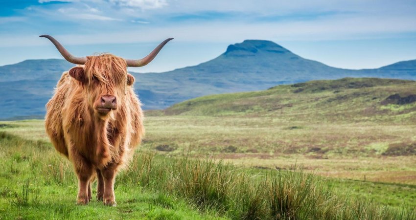 Tur İskoçya Scotland