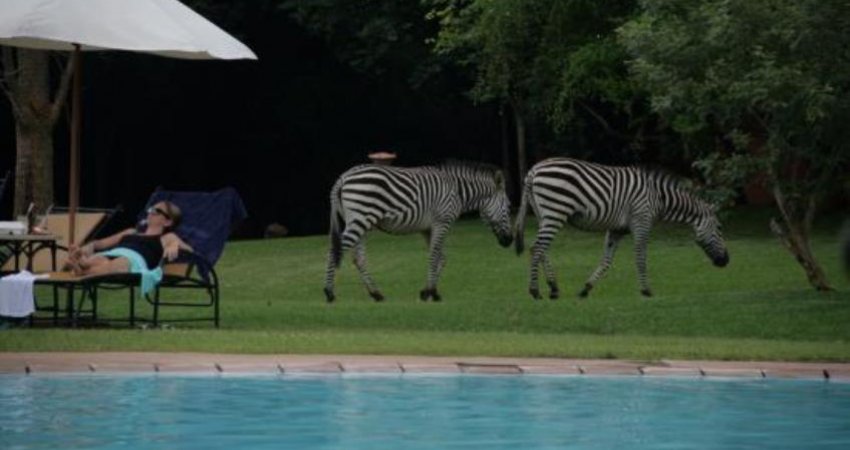 Tur Afrikayı Yaşamak-2 Victoria Falls & Cape Town