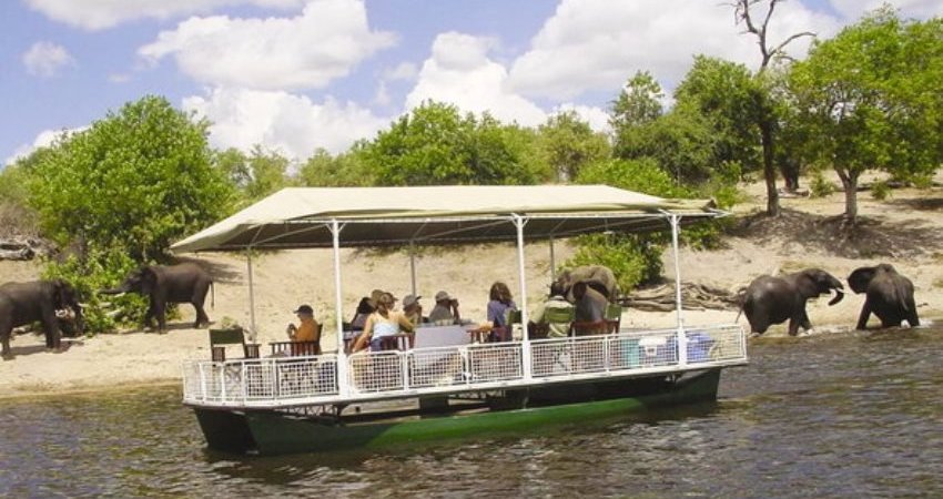 Tur Afrikayı Yaşamak-2 Victoria Falls & Cape Town