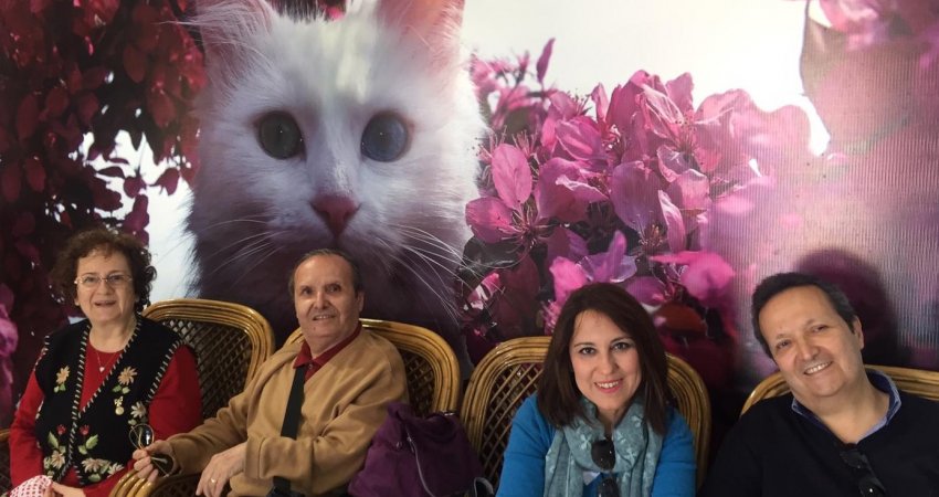 Tur Iğdır Van Bitlis Muş  I