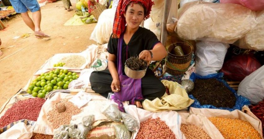 Tur BURMA, Myanmar II