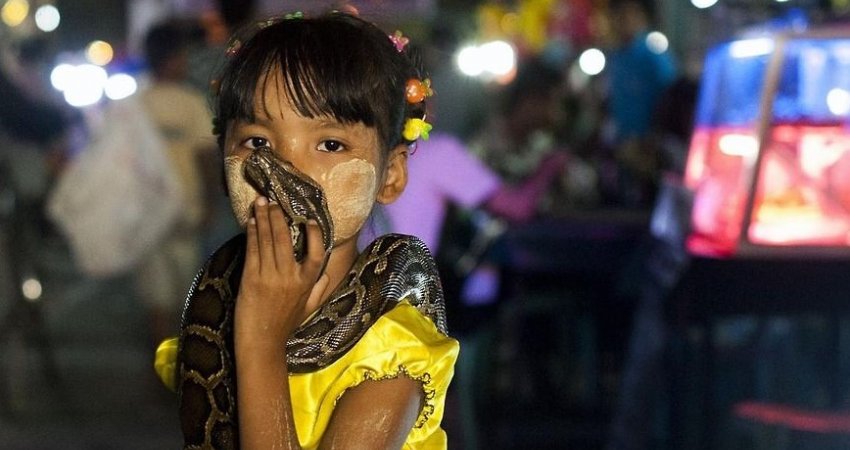 Tur BURMA, Myanmar II