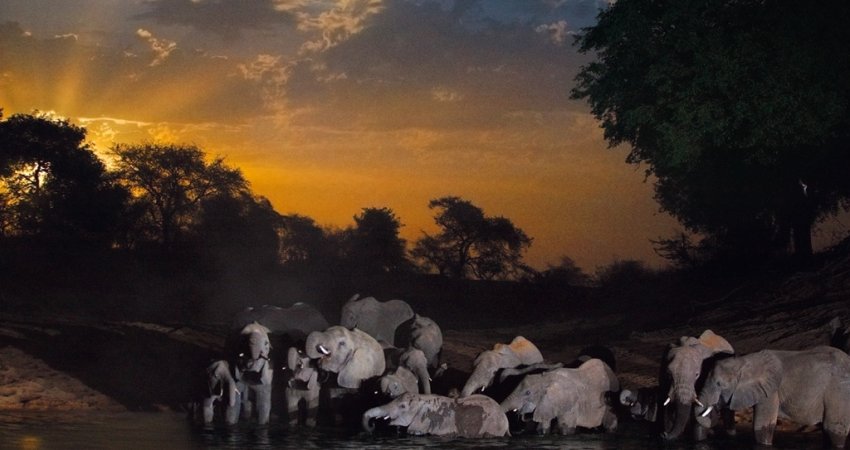 Tur Afrikayı Bizbize Yaşamak Güney Afrika-I