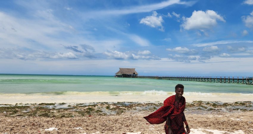 Tur Kenya Safari ve Zanzibar
